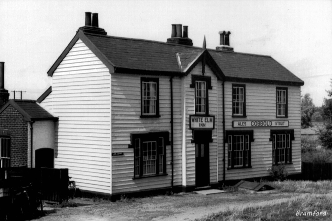 The White Elm